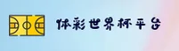 使用指南与常见问题